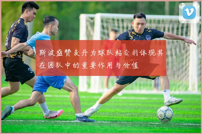 斯波盛赞麦丹为球队粘合剂体现其在团队中的重要作用与价值