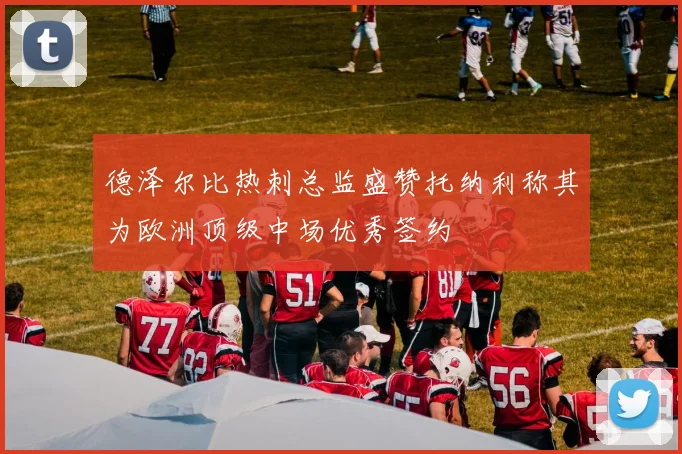 德泽尔比热刺总监盛赞托纳利称其为欧洲顶级中场优秀签约